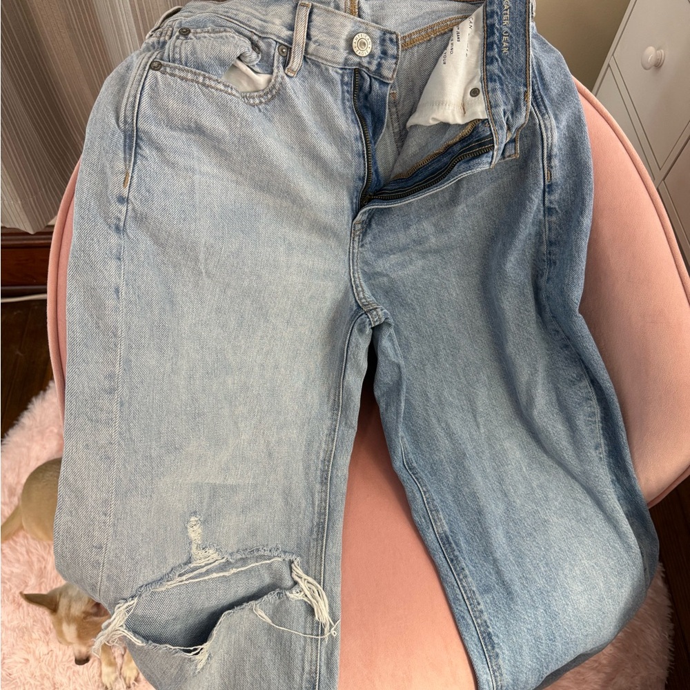 American Eagle Outfitters Distressed Light Blue Boyfriend Jeans